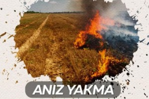 Osmaniye Tarım İl Müdürlüğü’nden anız yangını uyarısı