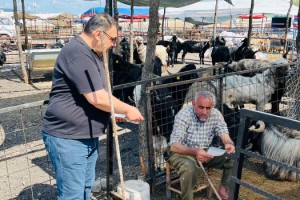 Osmaniye’de Kurban Pazarlarında Sağlık İçin Farkındalık Eğitimi