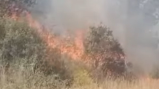 Otoyoldaki Kuru Ot Yangını Kısa Sürede Söndürüldü