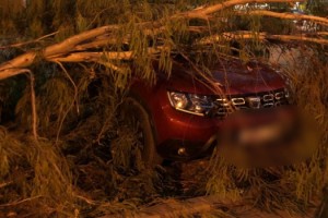 Toprakkale’de Park Halindeki Aracın Üzerine Ağaç Devrildi