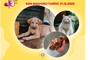 Osmaniye’de Evcil Hayvanlara Çip Uygulaması Başladı