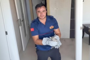 Osmaniye’de Mahsur Kalan Kedi İtfaiye Ekiplerince Kurtarıldı