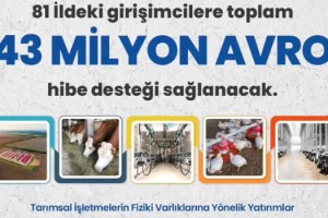 Osmaniyeli yatırımcılar dikkat: 43 milyon avro hibe desteği fırsatı