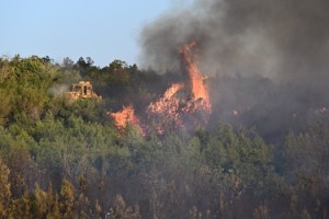 Sumbas’ta orman yangınına havadan ve karadan müdahale edildi.