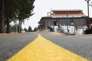 Zorkun Yaylası Şenlik Tepesi'nde Dönüşüm Devam Ediyor