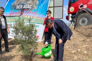 Yarbaşı’nda Zeytin Fidanları Toprakla Buluştu