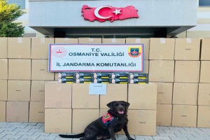 Osmaniye’de Kaçak Makaron Operasyonu: 1 Kişi Tutuklandı