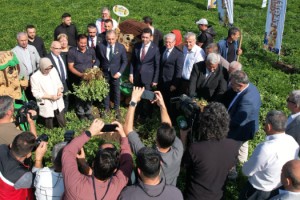 Osmaniye FıstıkFest 2025’e Hazır: Heyecan Dorukta