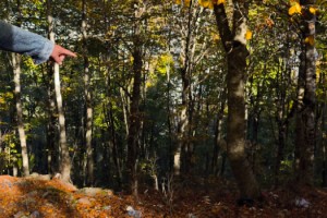 Doğaseverler isyan etti: Dumanlı Yaylası çöplerle doldu