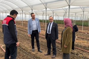 Mersin’den Gelen Gül Fidanları Osmaniye’de Toprakla Buluştu