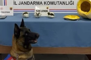 Osmaniye’de Yolcu Otobüsünde Kabak İçinde Uyuşturucu