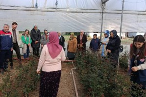 Kadın Kooperatiflerinin Güçlendirilmesi Projesi Hasanbeyli’de Hayata Geçiyor