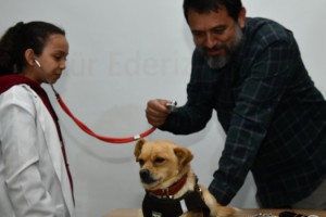 Osmaniye’de Öğrenciler Yavru Köpeklerin Kalp Atışını Dinledi