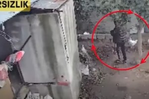 Osmaniye’de Tavuk Hırsızlığına Geçit Yok: Şüpheli Tutuklandı