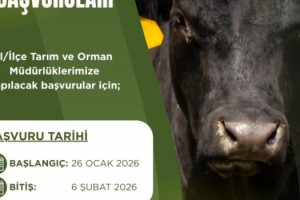 Osmaniye’de Besicilere Kritik Uyarı: İthalat Başvuruları Ertelendi