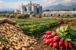Yerfıstığı ve Turpun Başkenti Osmaniye Tarımda Cazibe Merkezi Oluyor