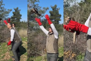 Osmaniye’de Tedavisi Tamamlanan 2 Şahin Doğaya Kavuştu