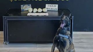 Osmaniye’nin Narkotik Köpeği Zirvede