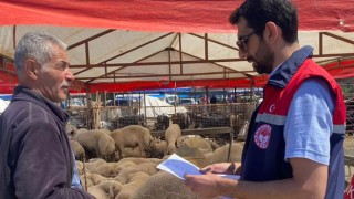 Kurban Bayramı Öncesi Osmaniye’de Kurbanlık Denetimleri Artırıldı