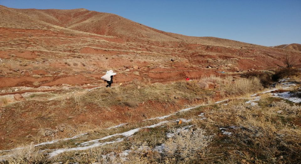 Aksaray'da hayvanlara AKDS katkısı