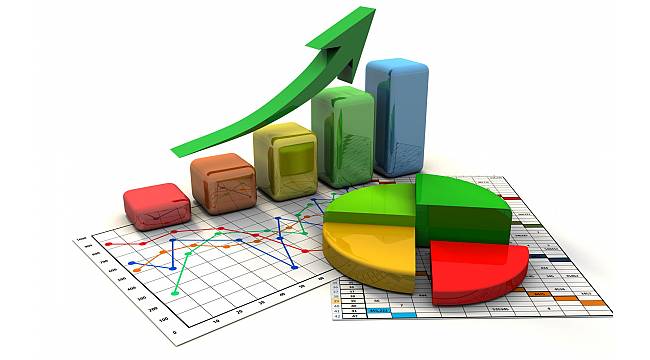 TÜİK Siirt Bölge Müdürü'nden açıklama