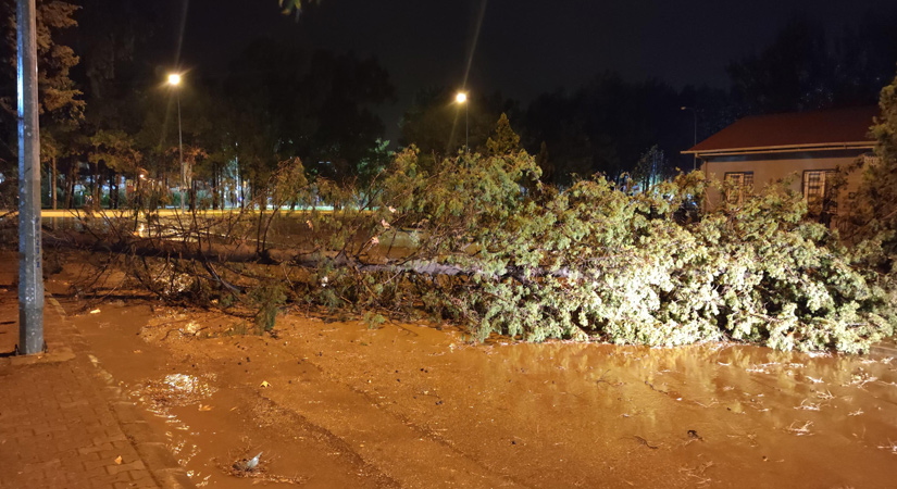 Sağanak ve fırtına çatıları uçurdu, ağaçları devirdi