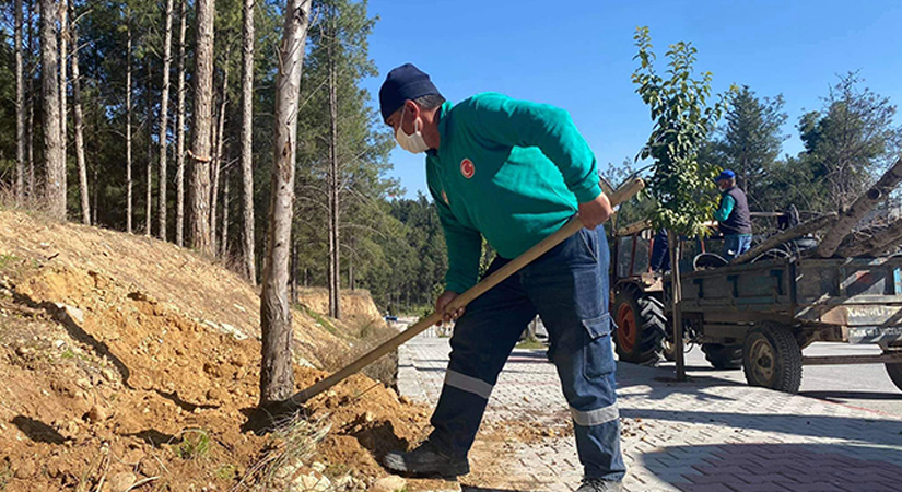 Kadirli’de “Fidan dikme seferberliği” başladı