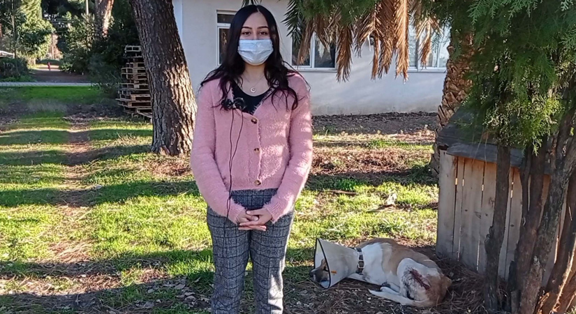 Kalçasında tümör bulunan köpek tedavi edildi