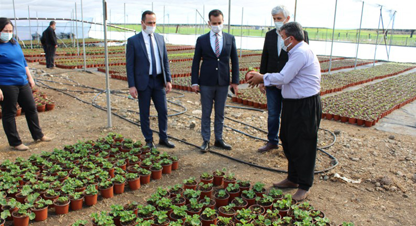 Kaymakam’dan Çiçek üretim serasına ziyaret