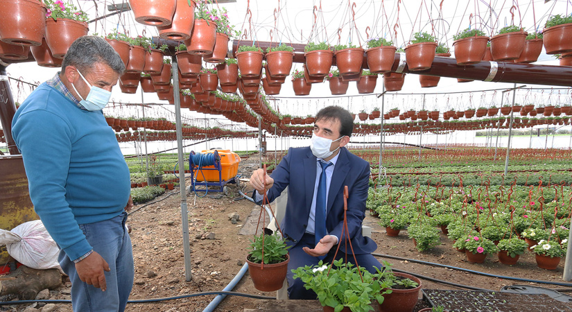 Süs bitkileri üretimi için 2 dekar alana sera kurdu