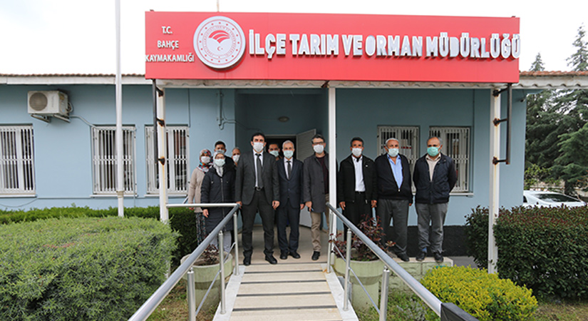 Bahçe’de ceviz bahçesi kurulumu gerçekleşecek