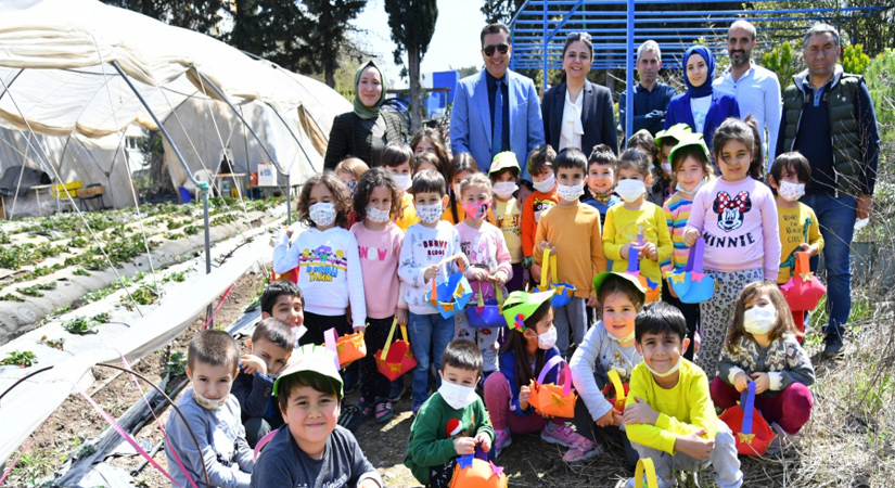 Rektör Uzun, minik öğrencilerle çilek topladı