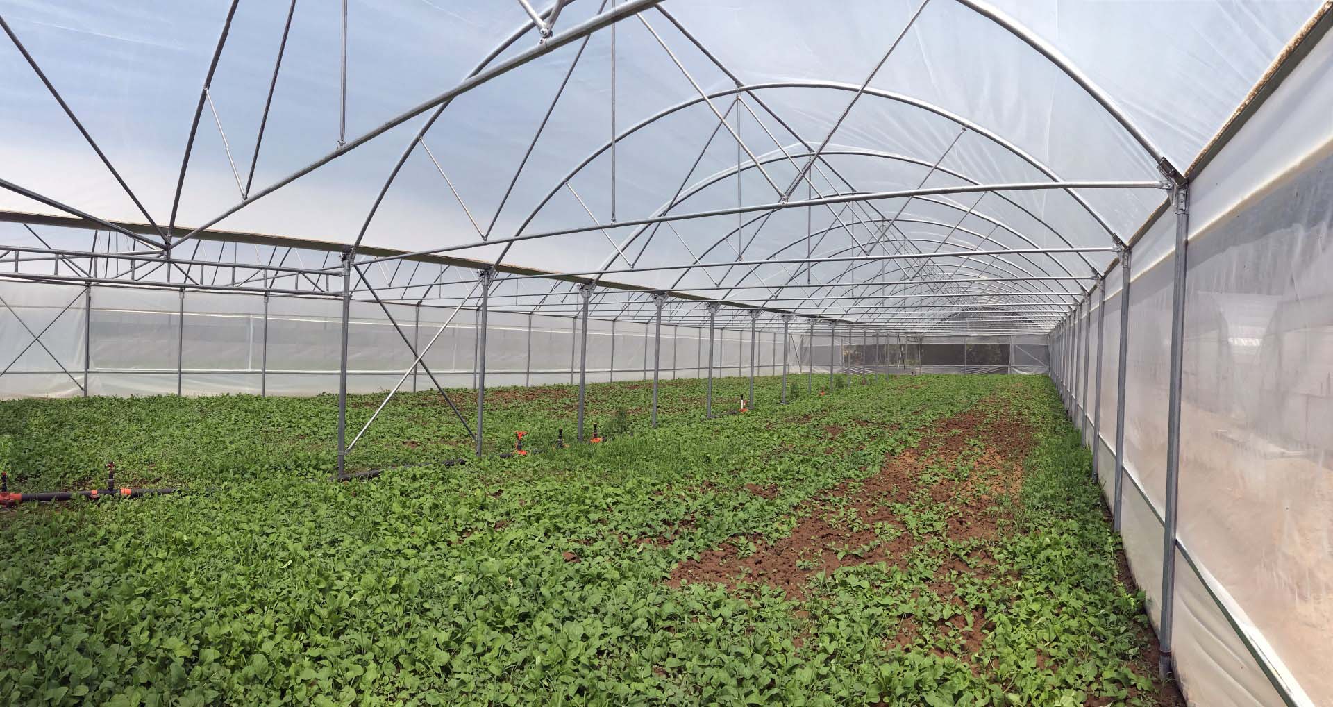 Kocaeli’de seralar çiftçilere teslim ediliyor