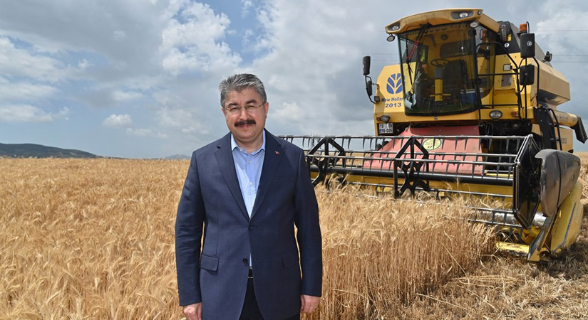 Vali Yılmaz, buğday hasadı yaptı