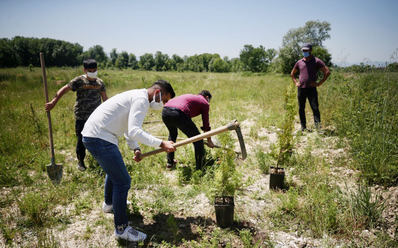 Bolu Düzce’de ‘120 fidan’ tarafları uzlaştırdı
