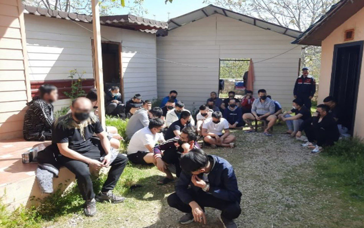 Jandarma, insan ticareti yapılan 33 Tayvanlıyı kurtardı