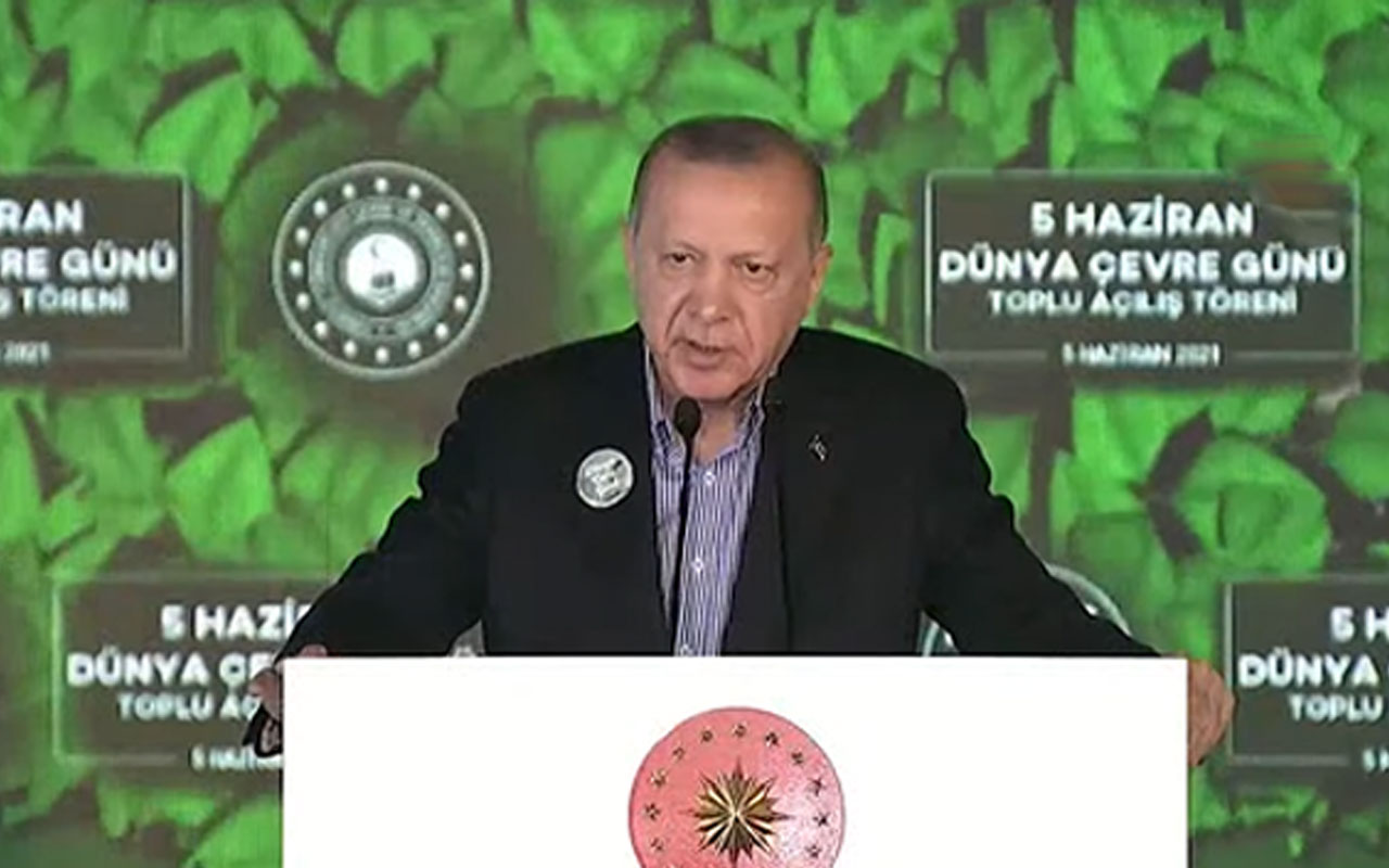 Cumhurbaşkanı Erdoğan’dan ‘müsilaj’ açıklaması