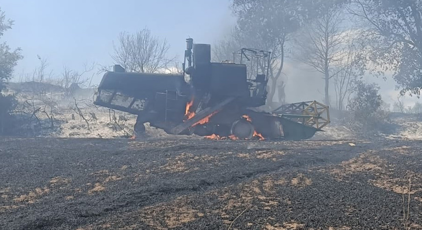 Osmaniye'de 400 Dönüm Ekili Alan Yandı