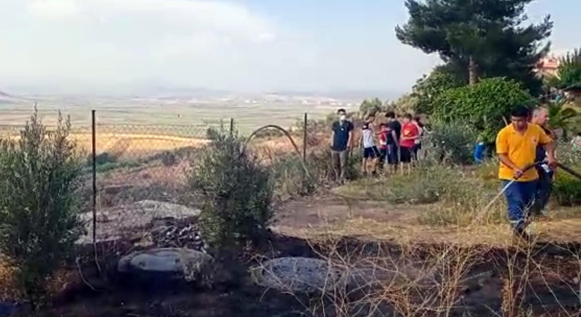 Yangında, 7 dönüm zeytin bahçesi zarar gördü