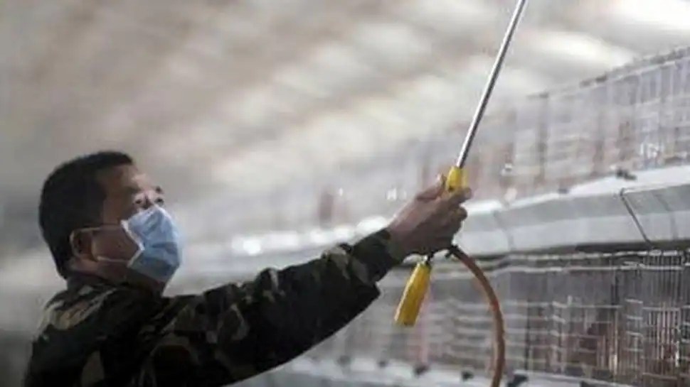 Çin’de ilk kez bir insana H10N3 tanısı kondu