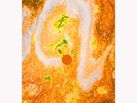 Deniz salyasına sanatsal yaklaşım