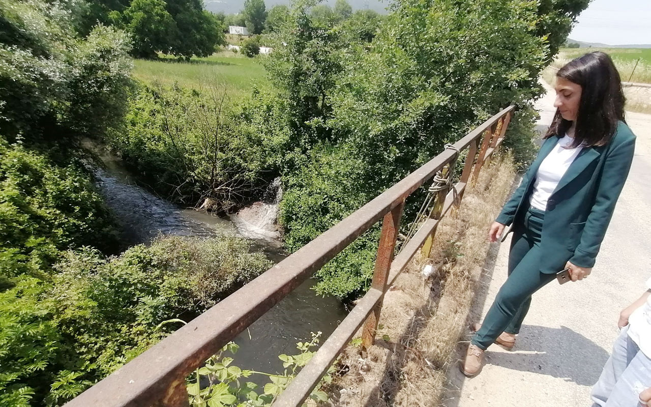 CHP’nı Bursalı vekili kirlilikle ilgili Gemlik Karsak Deresi’ne dikkati çekti