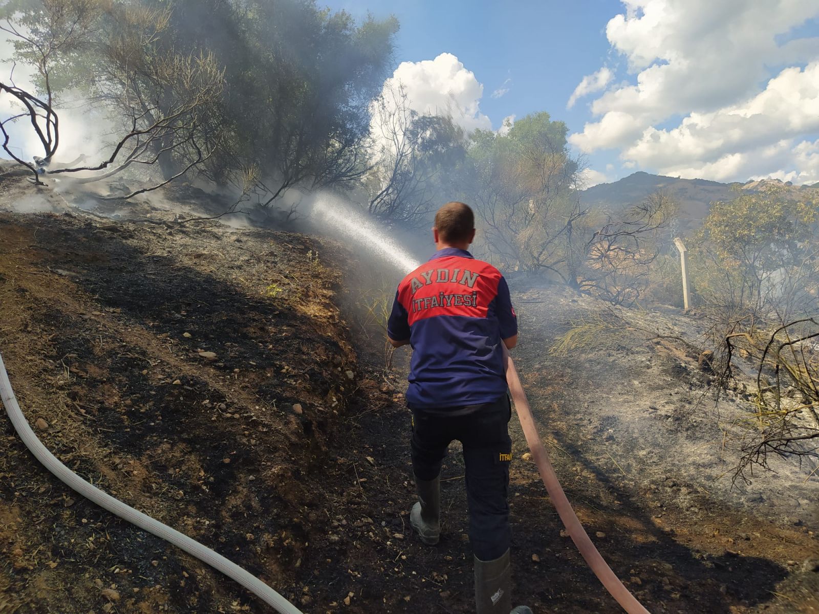 Aydın’da ormanlık alanda yangın