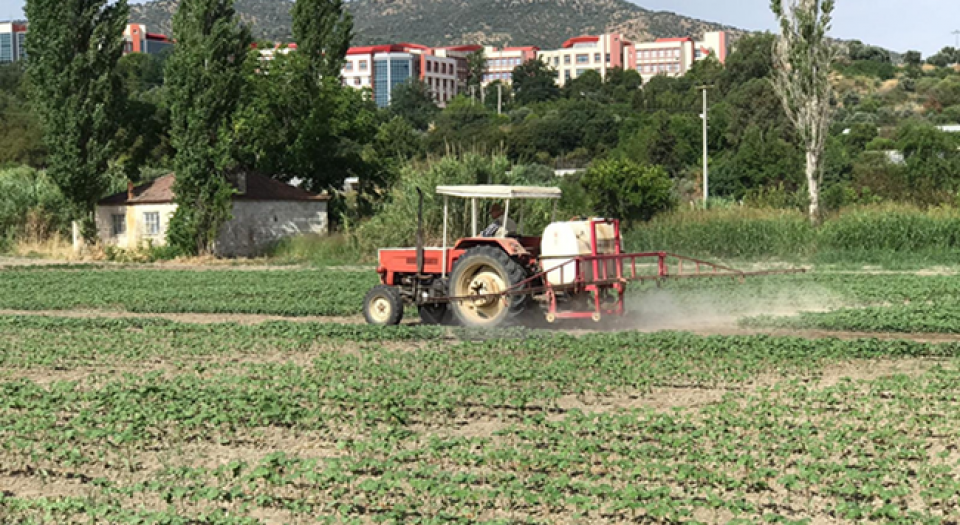 ADÜ kuraklığa dayanıklı pamuk tohumu geliştirdi