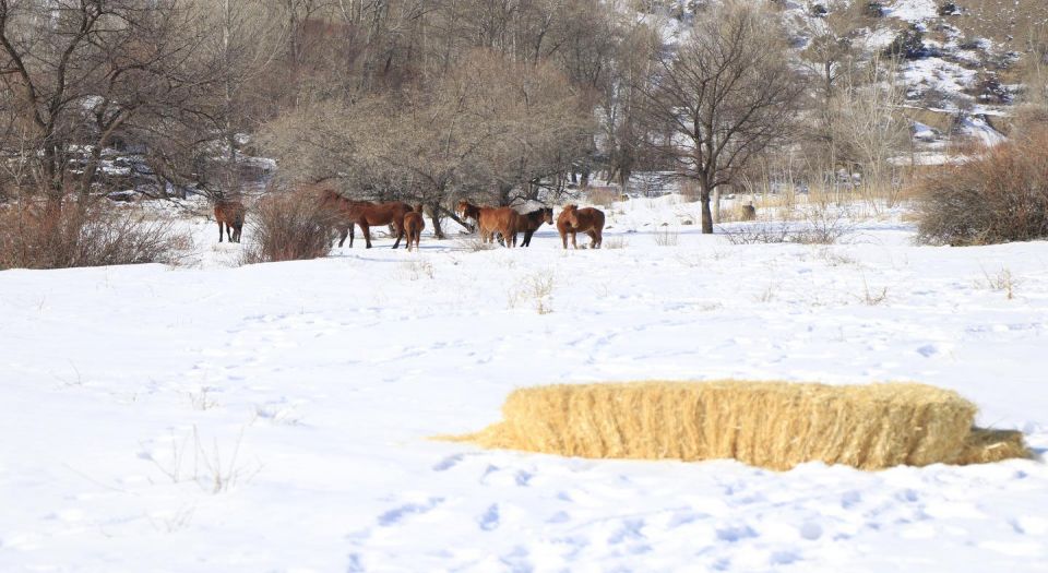 İliç’de Yaban Hayatına Destek