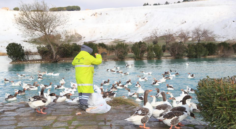 Pamukkale'de bayat ekmekler çöp olmuyor